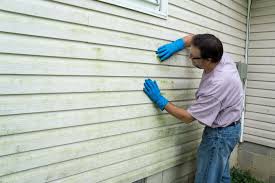 Affordable Siding Repair and Maintenance Services in Seymour, TX